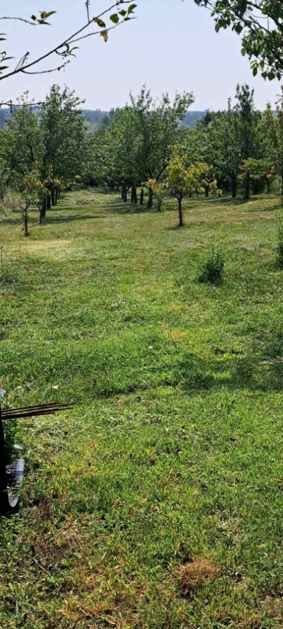 PLAC U GRAĐEVINSKOJ ZONI KOD MANASTIRA NOVO HOPOVO