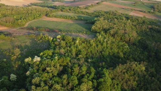 Građevinski placevi 9000m2 kod Starog Hopova