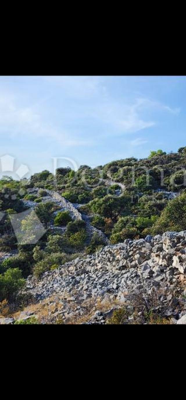 Land Sevid, Marina, 2.516m2