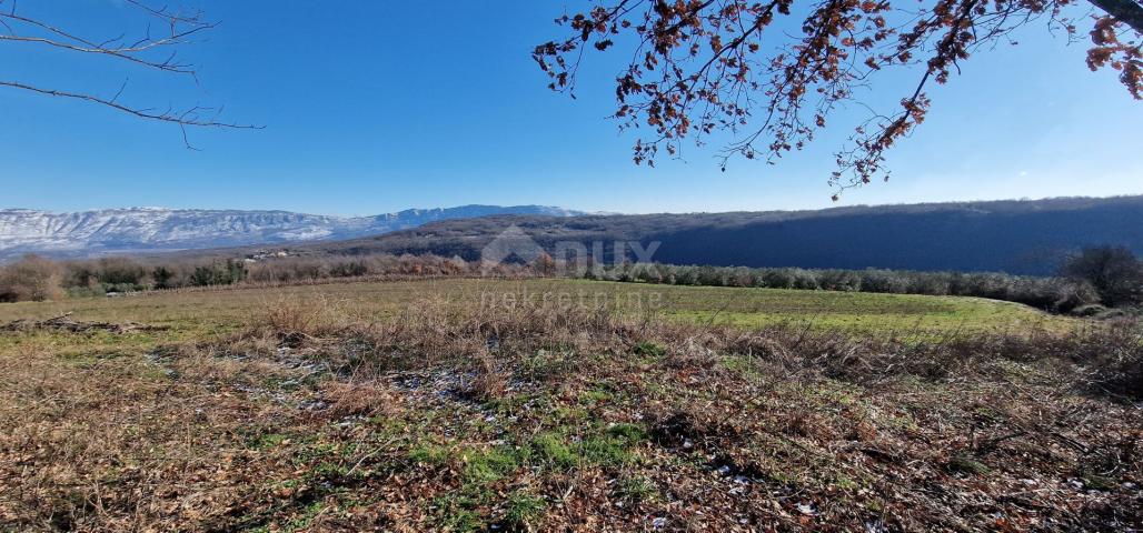 Istra, Labin, Pićan - Potpuna osama i prekrasan pogled!! Građevinsko zemljište 750m2 i poljoprivredn