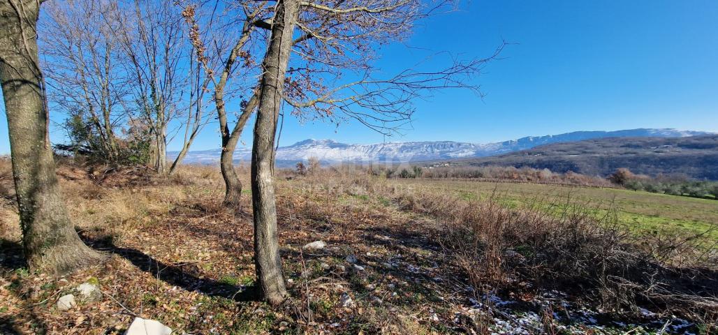 Istra, Labin, Pićan - Potpuna osama i prekrasan pogled!! Građevinsko zemljište 750m2 i poljoprivredn