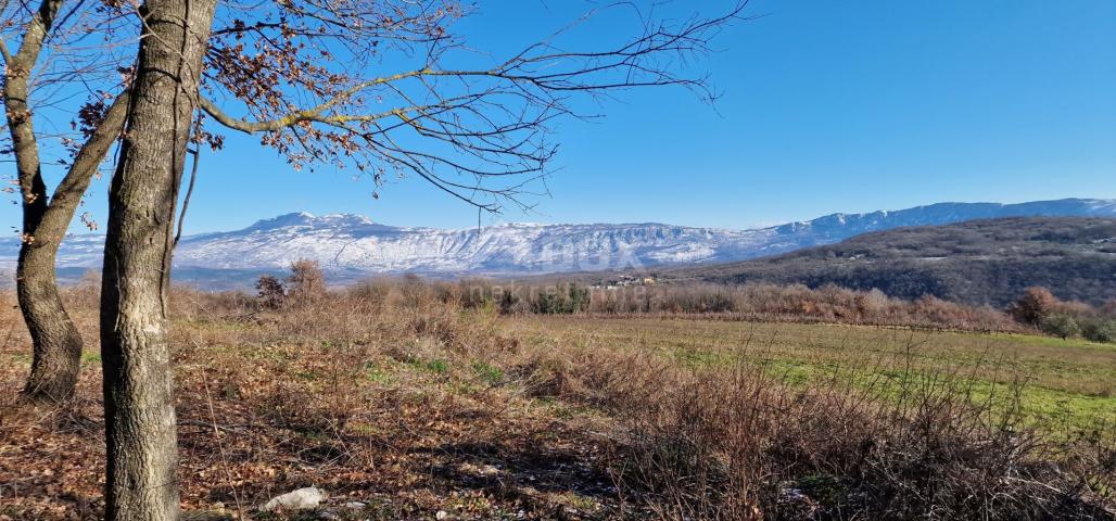 Istra, Labin, Pićan - Potpuna osama i prekrasan pogled!! Građevinsko zemljište 750m2 i poljoprivredn