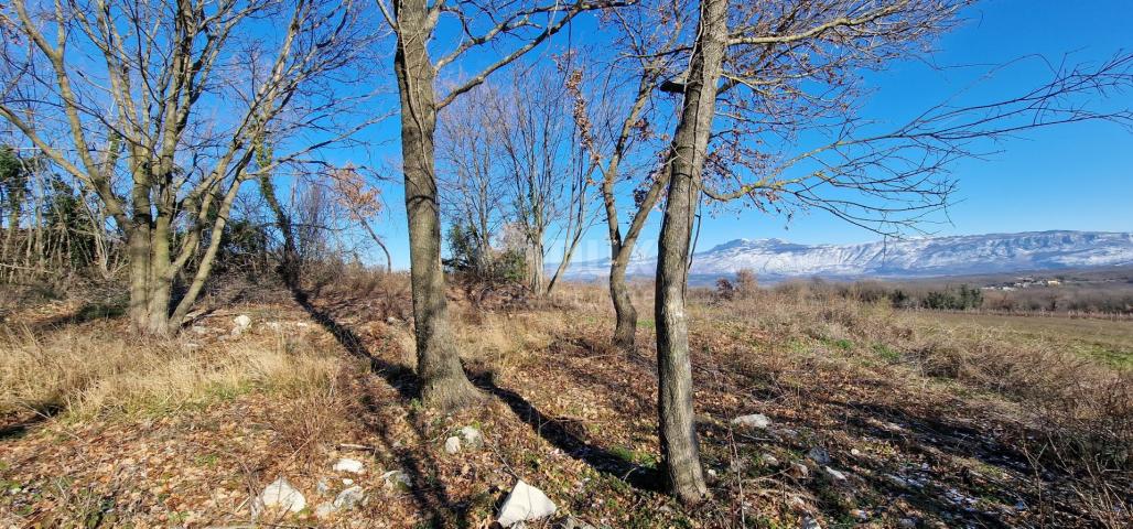 Istra, Labin, Pićan - Potpuna osama i prekrasan pogled!! Građevinsko zemljište 750m2 i poljoprivredn