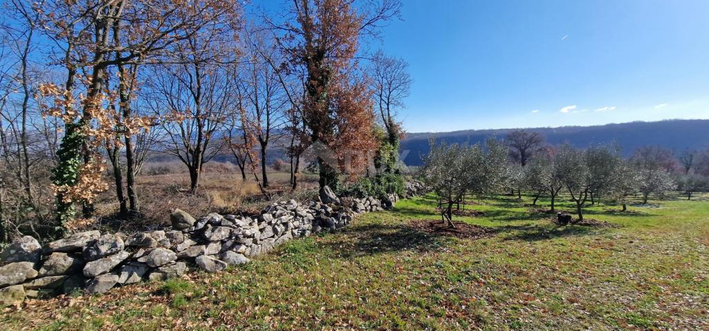 Istra, Labin, Pićan - Potpuna osama i prekrasan pogled!! Građevinsko zemljište 750m2 i poljoprivredn