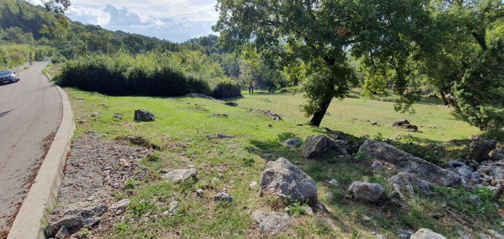 Land for sale, 2591 m2, Herceg Novi, Trebesin