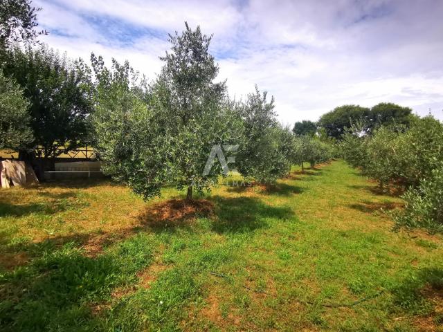 Malinska, Umgebung, landwirtschaftliches GrundstÜck mit Wirtschaftsgebäude! ID 580