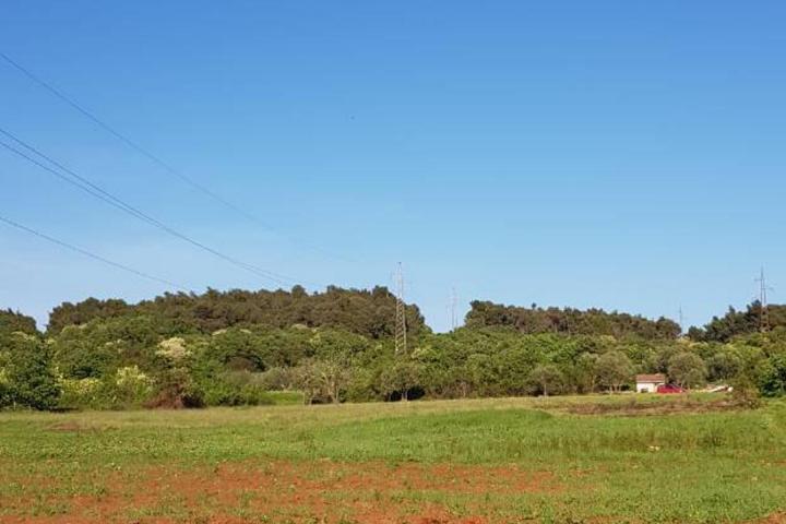 Istra, Rovinjsko selo, prostrano poljoprivredno zemljište 27672m2