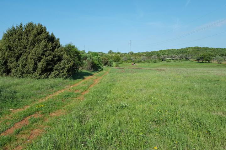 Istra, Rovinjsko selo, 6599m2 poljoprivredno zemljište  s manjim gospodarskim objektom 