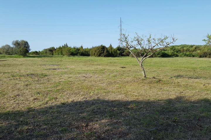 Istra, Rovinjsko selo, 6599m2 poljoprivredno zemljište  s manjim gospodarskim objektom 