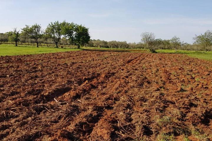 Istra, Rovinjsko selo, poljoprivredno zemljište 13856m2