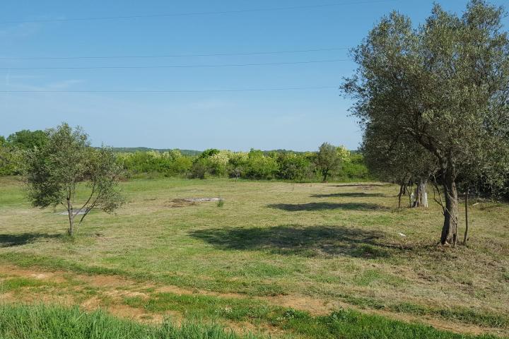 Istra, Rovinjsko selo, poljoprivredno zemljište 7217m2