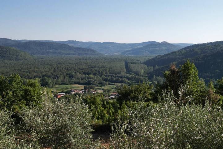 Istra, Motovun, građevinsko zemljište s pogledom na povijesne gradove 