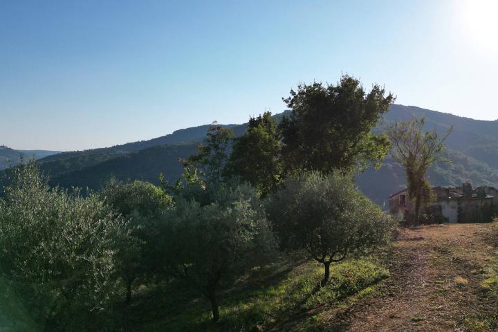 Istra, Motovun, građevinsko zemljište s pogledom na povijesne gradove 