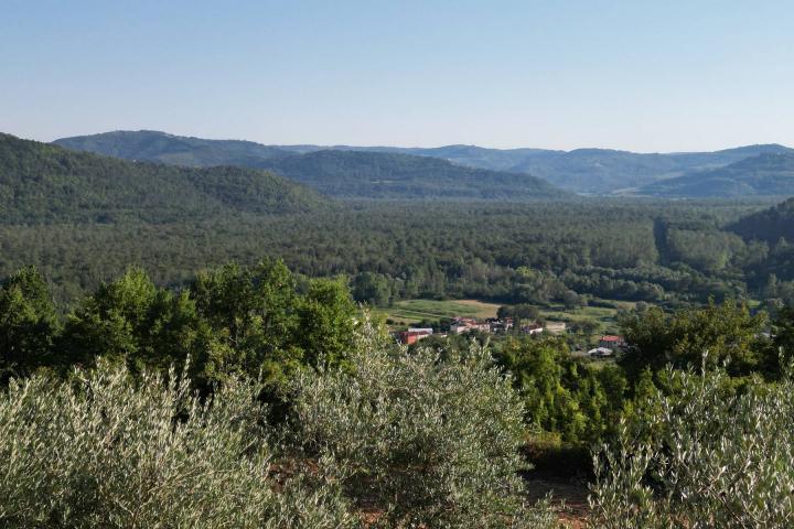 Istra, Motovun, građevinsko zemljište s pogledom na povijesne gradove 