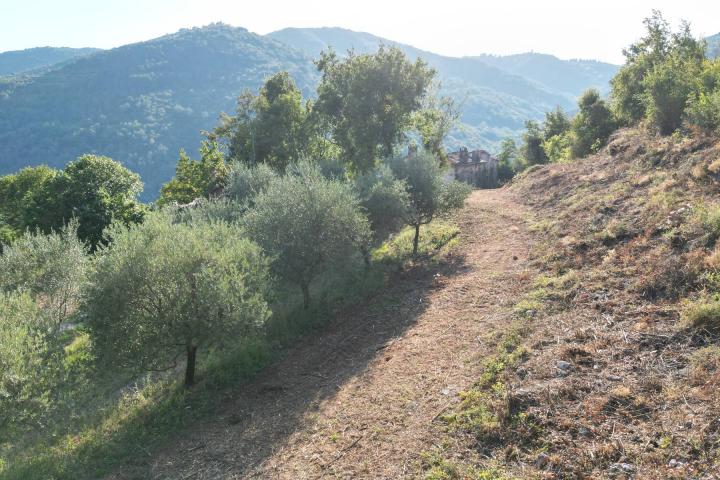 Istra, Motovun, građevinsko zemljište s pogledom na povijesne gradove 