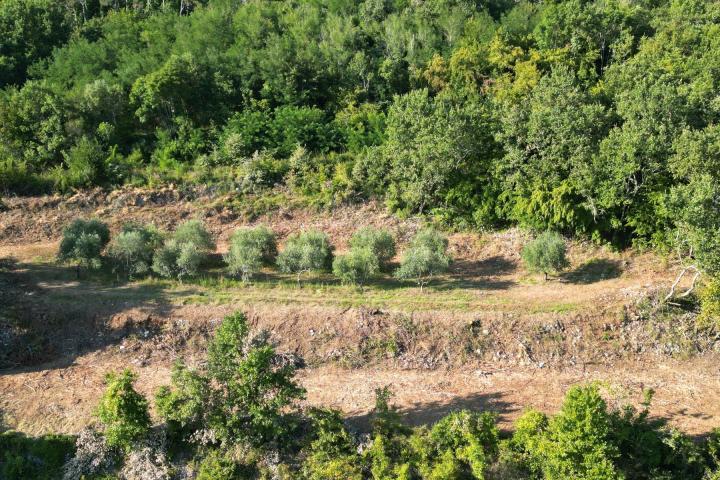 Istra, Motovun, građevinsko zemljište s pogledom na povijesne gradove 