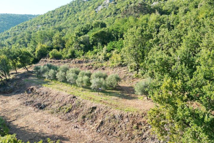 Istra, Motovun, građevinsko zemljište s pogledom na povijesne gradove 