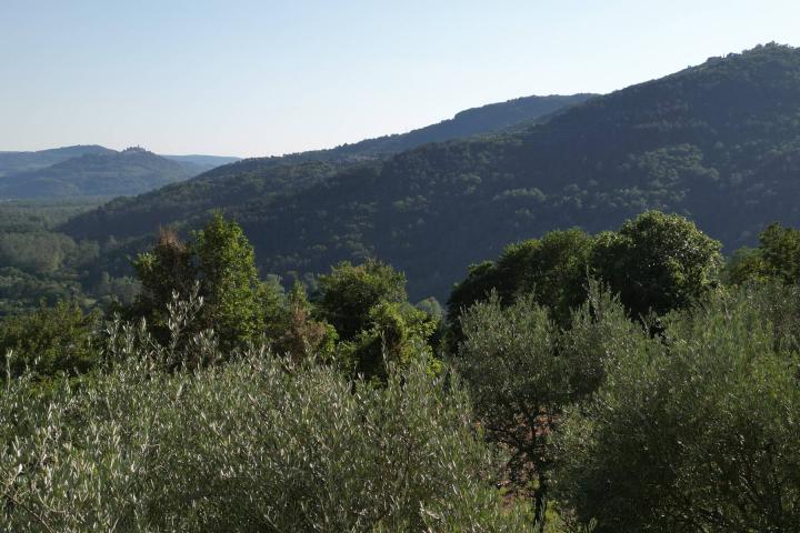 Istra, Motovun, građevinsko zemljište s pogledom na povijesne gradove 