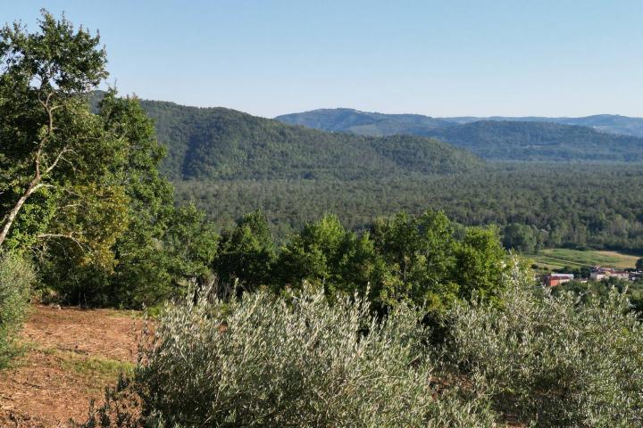 Istra, Motovun, građevinsko zemljište s pogledom na povijesne gradove 