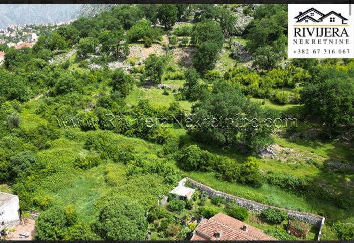 Urbanized land in Dobrota Kotor