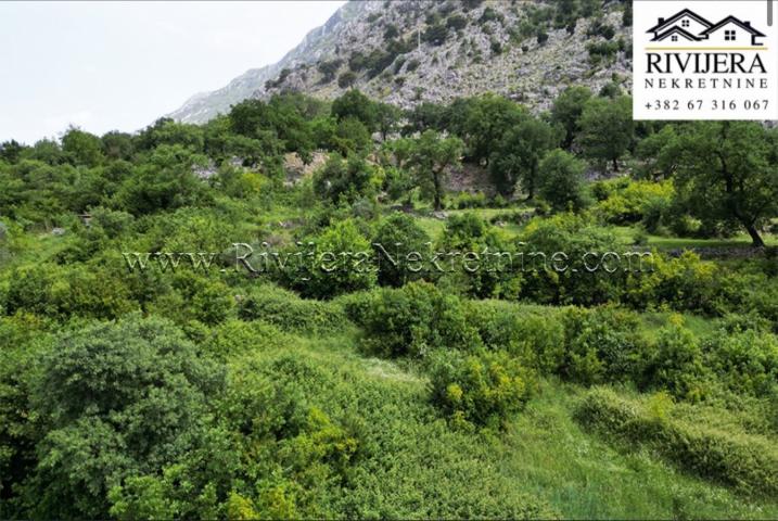 Urbanized land in Dobrota Kotor