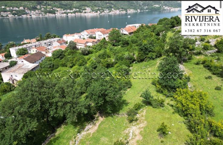 Urbanized land in Dobrota Kotor