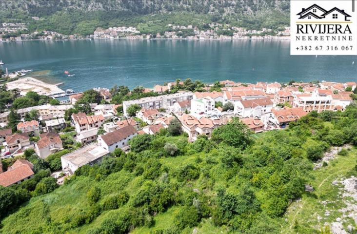 Urbanized land in Dobrota Kotor