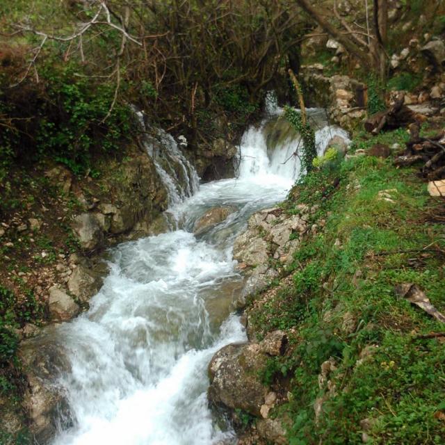 House with spring water and land in Buljarica