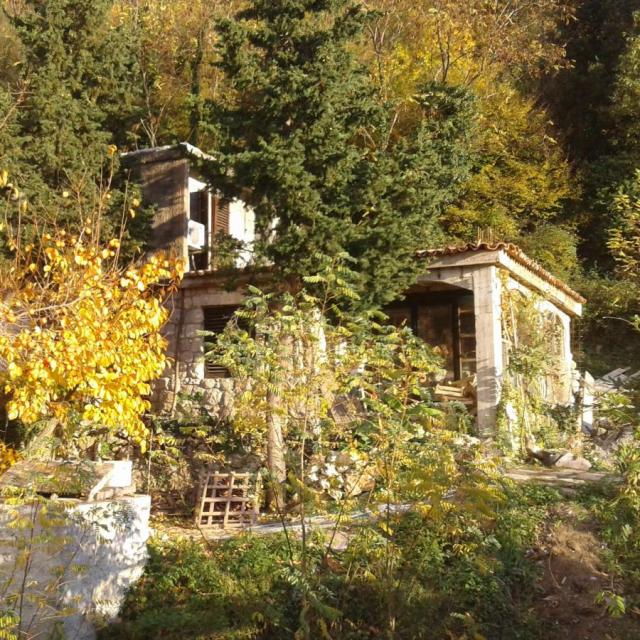 House with spring water and land in Buljarica