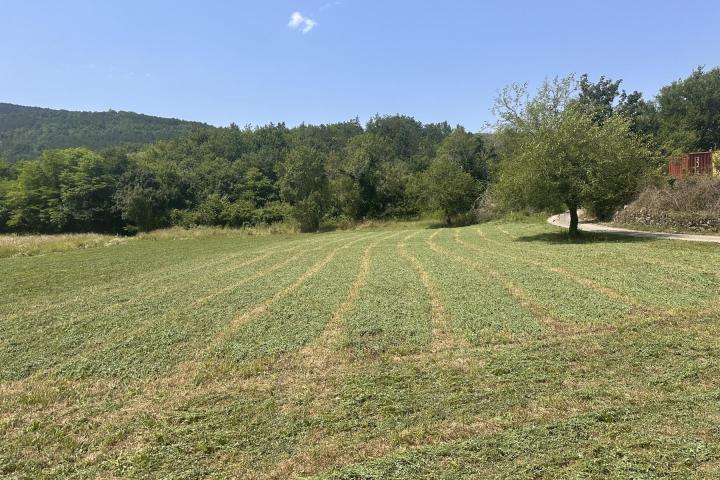 Istra, Žunti, veliko građevinsko zemljište s pogledom na Kaštel