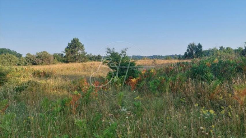 Grundstück Balići I, Žminj, 7.698m2