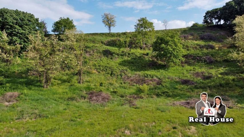 Vizionari-plac sa pogledm na Dunav i pola Vojvodine