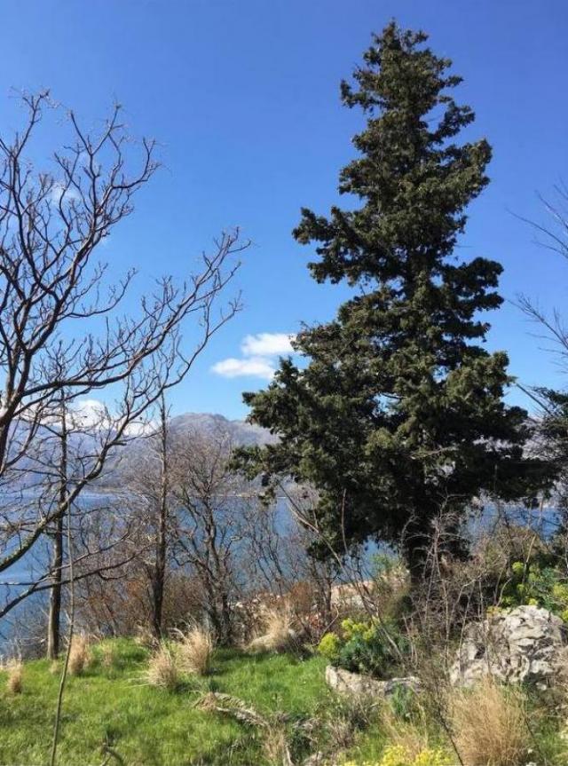 Urbanized land for sale, 2700 m2 (GBA: 5460 m2), Kotor, Dobrota