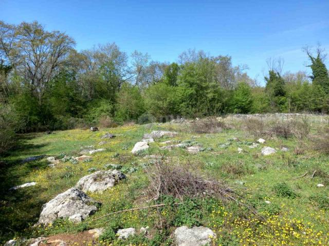 ISTRIA, VRSAR - building plot 1214 m2!