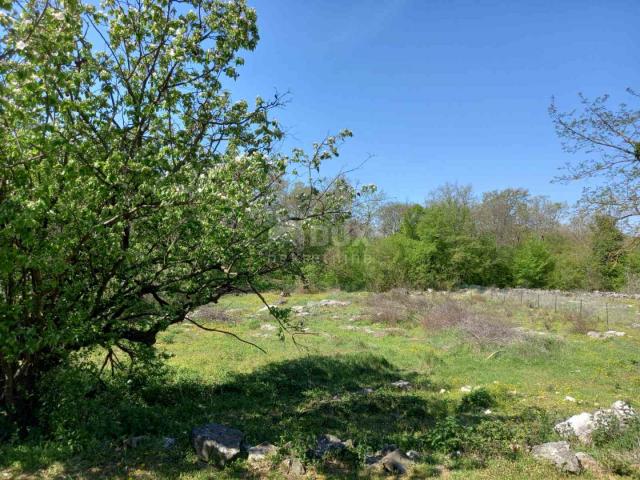 ISTRIA, VRSAR - building plot 1214 m2!