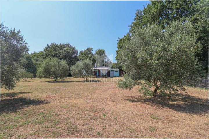 Charming house surrounded by greenery in Loborica!