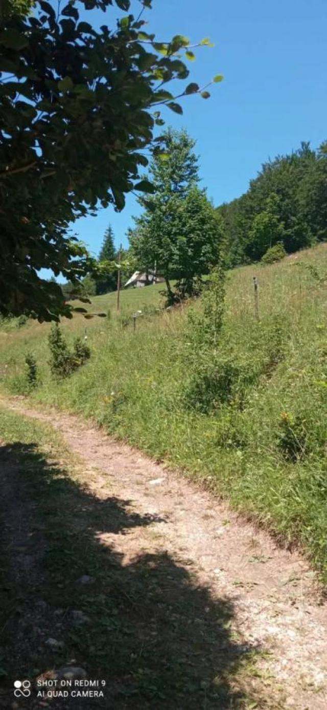 Property for sale in the village of Donja Bukovica, Savnik, 99130m2