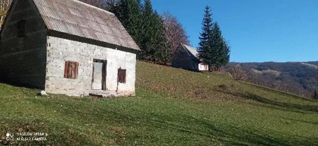 Property for sale in the village of Donja Bukovica, Savnik, 99130m2