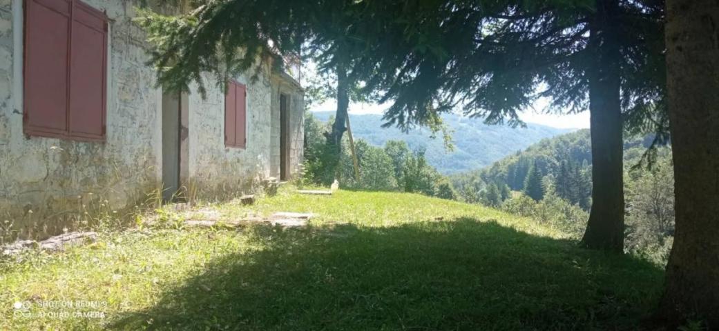 Property for sale in the village of Donja Bukovica, Savnik, 99130m2