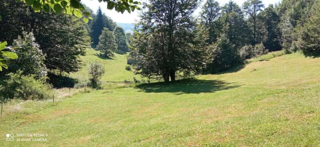 Property for sale in the village of Donja Bukovica, Savnik, 99130m2