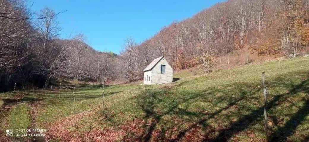 Property for sale in the village of Donja Bukovica, Savnik, 99130m2