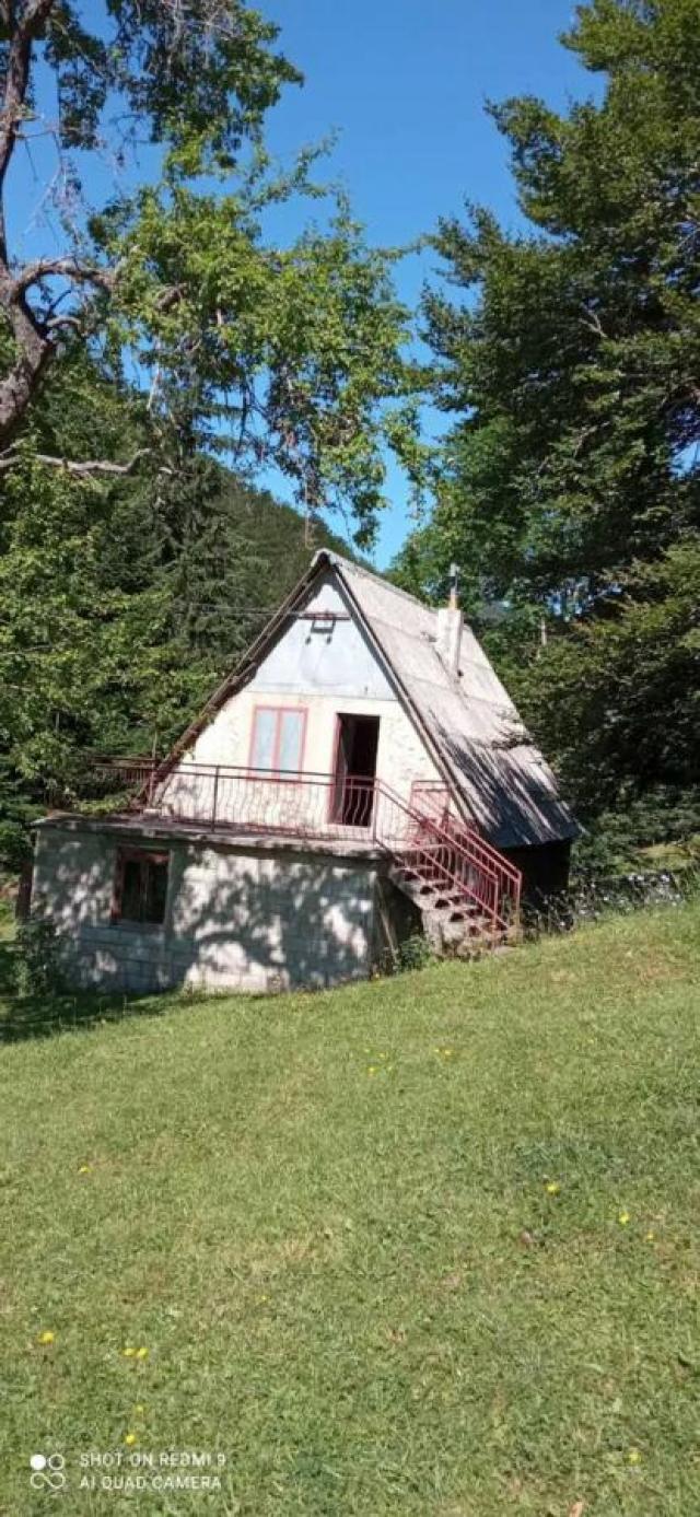 Property for sale in the village of Donja Bukovica, Savnik, 99130m2