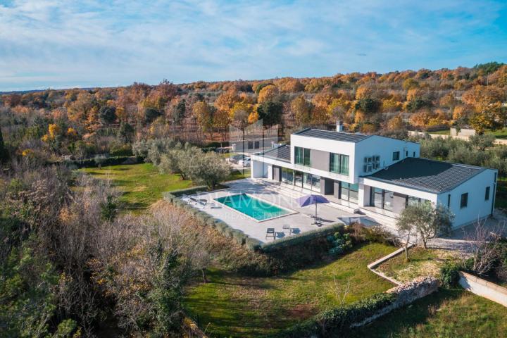 Marčana, surroundings, designer villa surrounded by nature