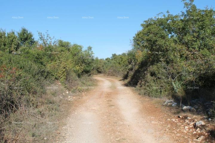 Agricultural land Agricultural land for sale, Galižana