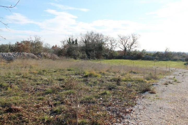 Agricultural land Agricultural land for sale, Galižana