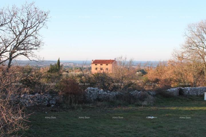 Agricultural land Agricultural land for sale, Galižana