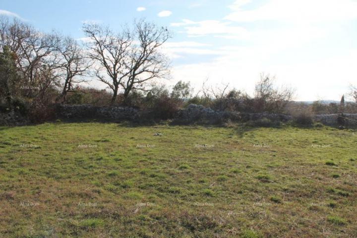 Agricultural land Agricultural land for sale, Galižana