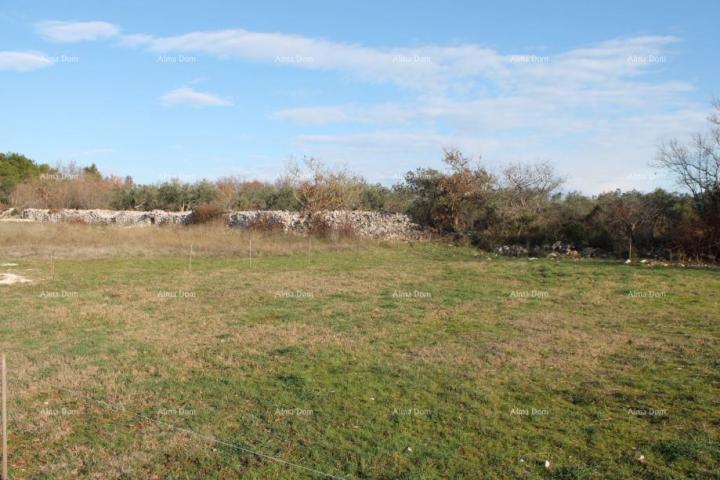 Agricultural land Agricultural land for sale, Galižana