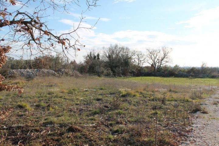 Agricultural land Agricultural land for sale, Galižana