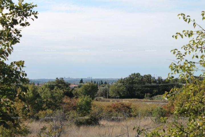 Agricultural land Agricultural land for sale, Galižana